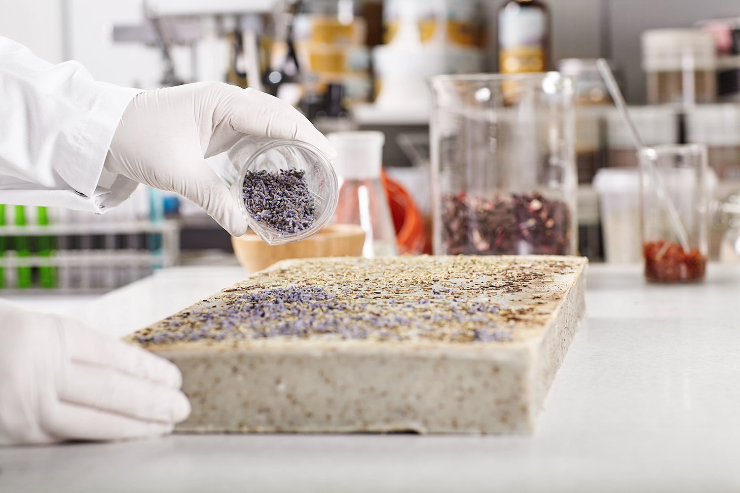 Horizontal laboratory portrait of difficult process of seed prod